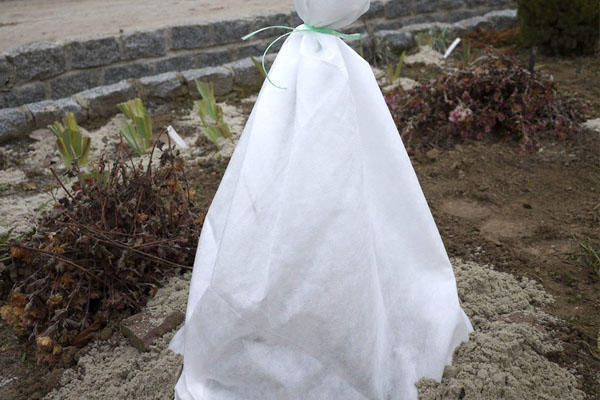 Укрывные мешки для туй. Укрытие роз агроспаном. Укрытие на дереве. Конус для укрытия хвойных растений 1,0х1,2м (белый. Укрытие растений на зиму.