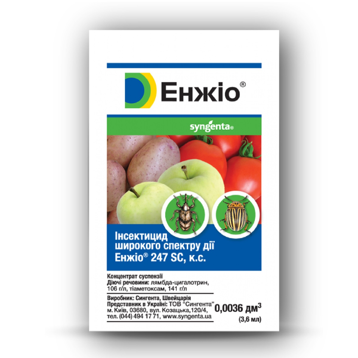 Кеңседе трусикисіз жыныстық қатынас