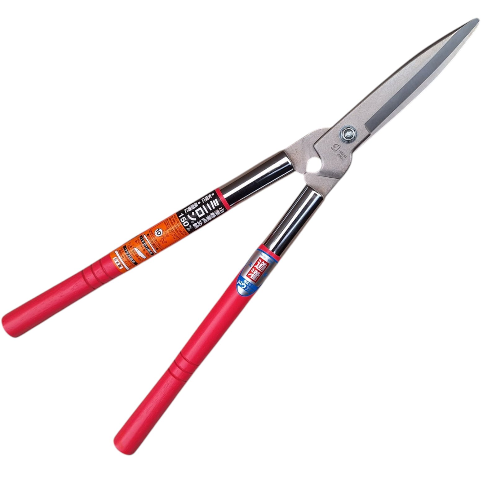 Үлкен мүше және тар анус