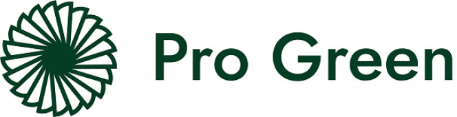 Основний партнер